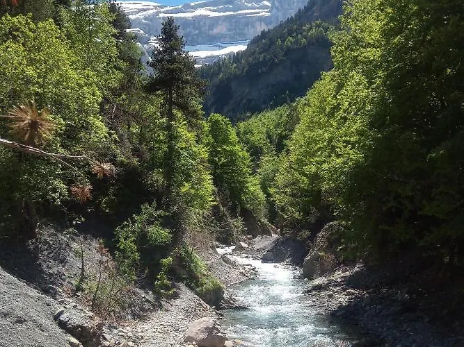 Maison La Luzienne - Lou Astiou Дом отдыха Люс-Сен-Совёр